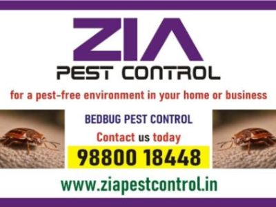 Bed Bug Control | Kinder Karden Schools Discount Up to 25 % Off | 6053