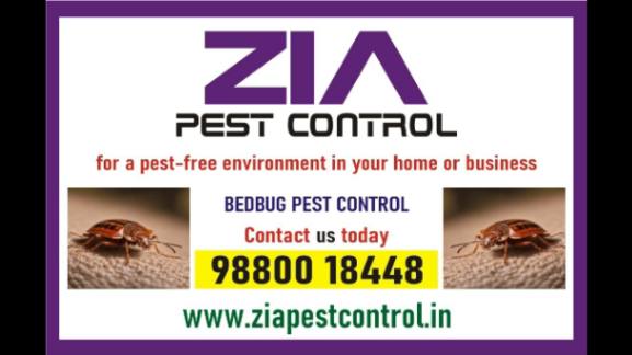Bed Bug Control | Kinder Karden Schools Discount Up to 25 % Off | 6053